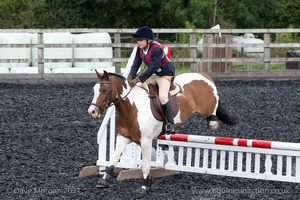 Class 4 - Fences 2'3 to 2'6